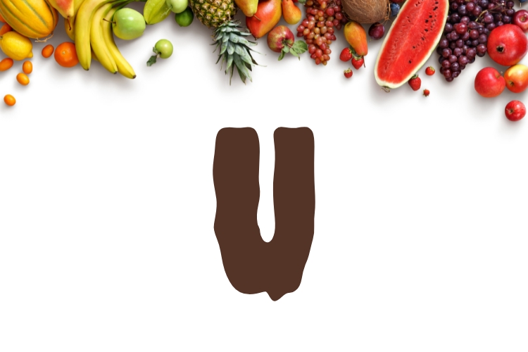 Como Escolher o Nome Perfeito com a Letra U para Seu Bebê