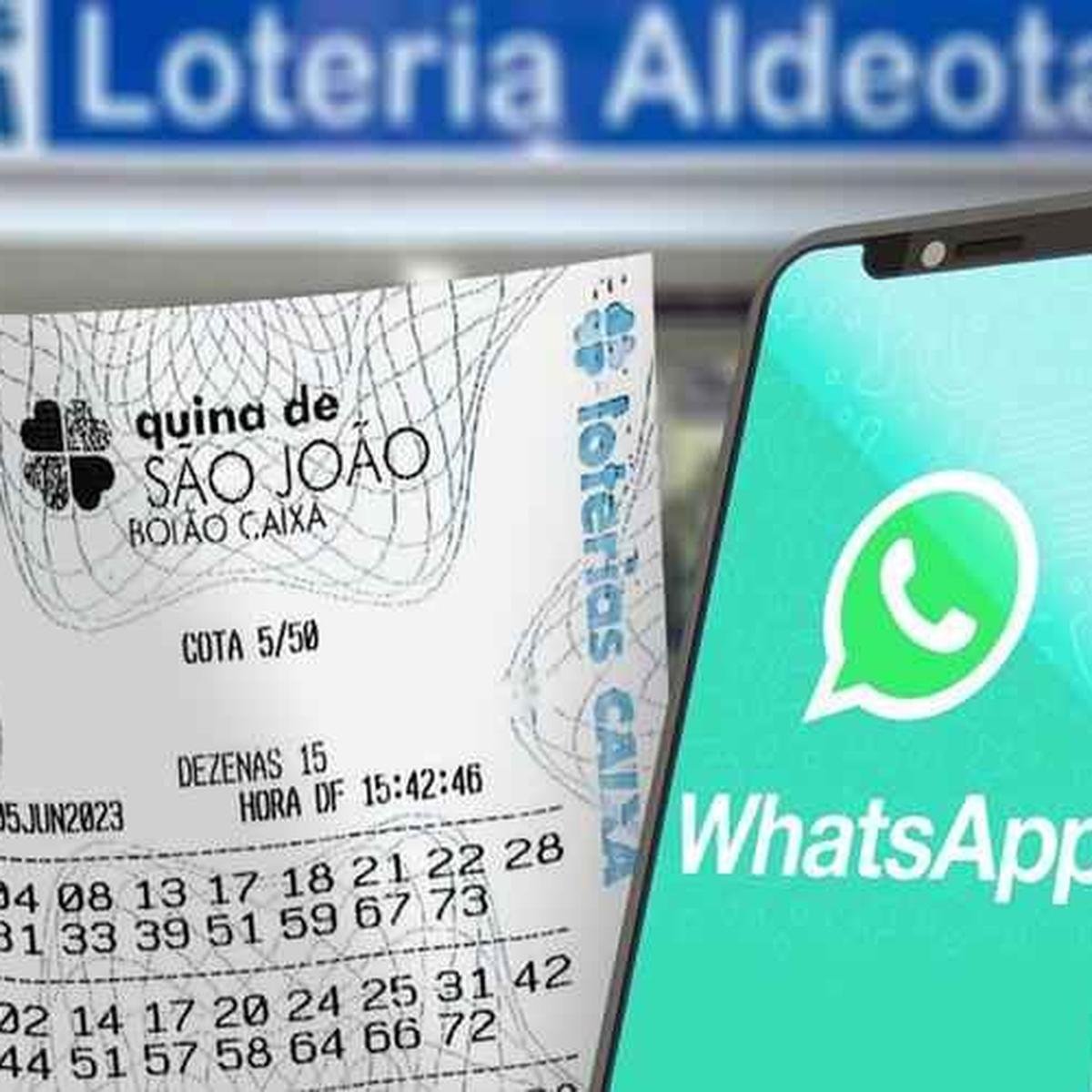 1. Guia Completo: Como Apostar na Quina e Aumentar Suas Chances
2. Quina: Entenda as Faixas de Premiação e os Valores dos Prêmios
3. Concursos Anteriores da Quina: Onde Consultar e Analisar Resultados
4. Bolão da Quina: A Estratégia Perfeita para Jogar em Grupo
5. Surpresinha e Teimosinha: Conheça as Opções de Aposta da Quina