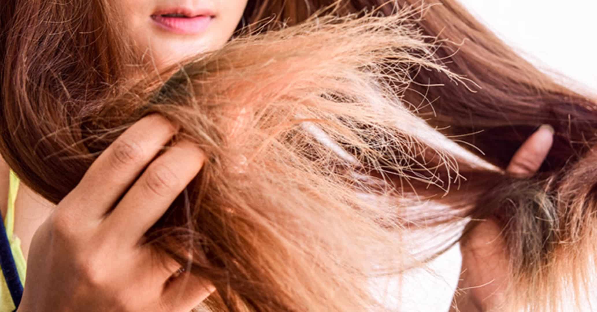 Top 5 Óleos Finalizadores para Acabar com as Pontas Duplas