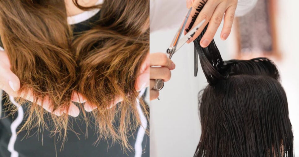 Split-Ender Vale a Pena? Análise da Máquina de Corte Bordado