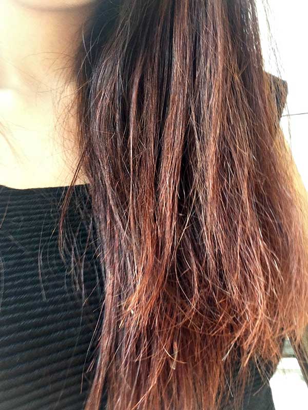 Guia Completo do Corte Bordado: Faça em Casa ou no Salão