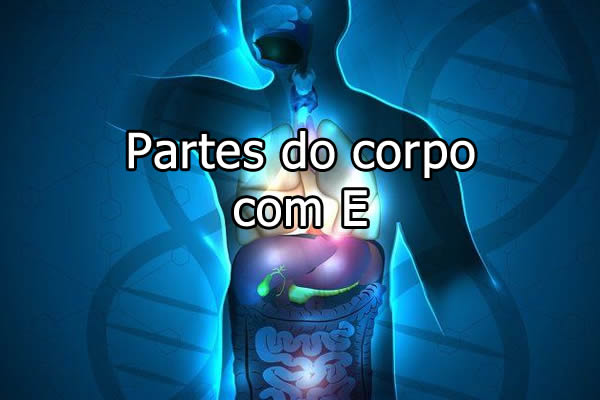 partes do corpo que começa com a letra e