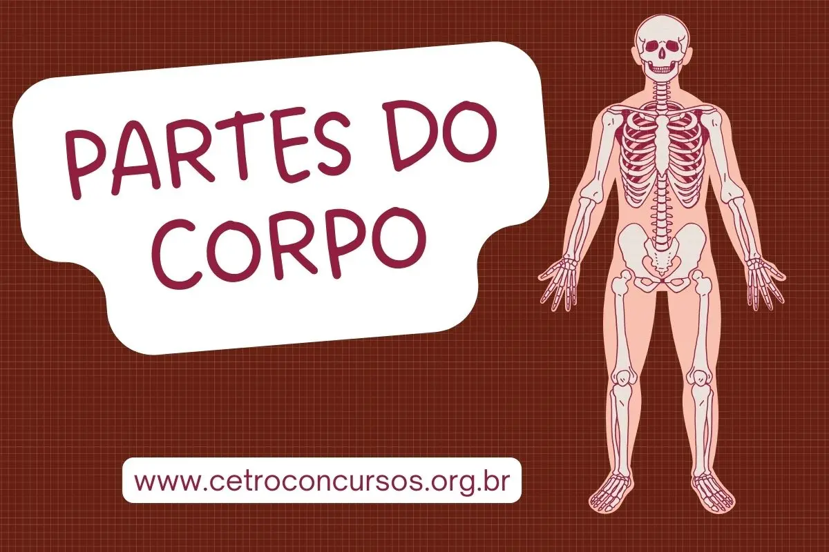 O Papel Fundamental do Esqueleto na Sustentação do Corpo