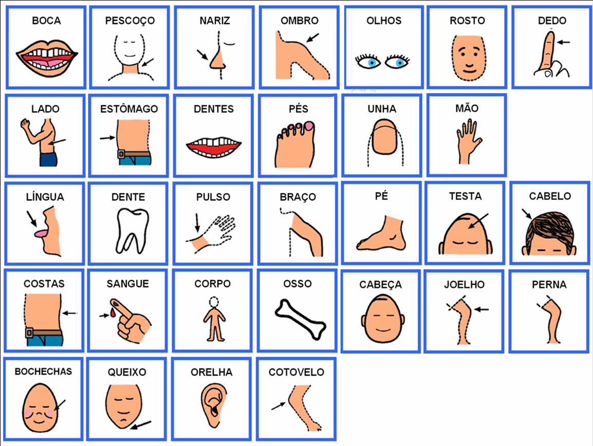 A Importância do Esôfago na Digestão Humana