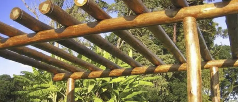 como tratar madeira de eucalipto para pergolado