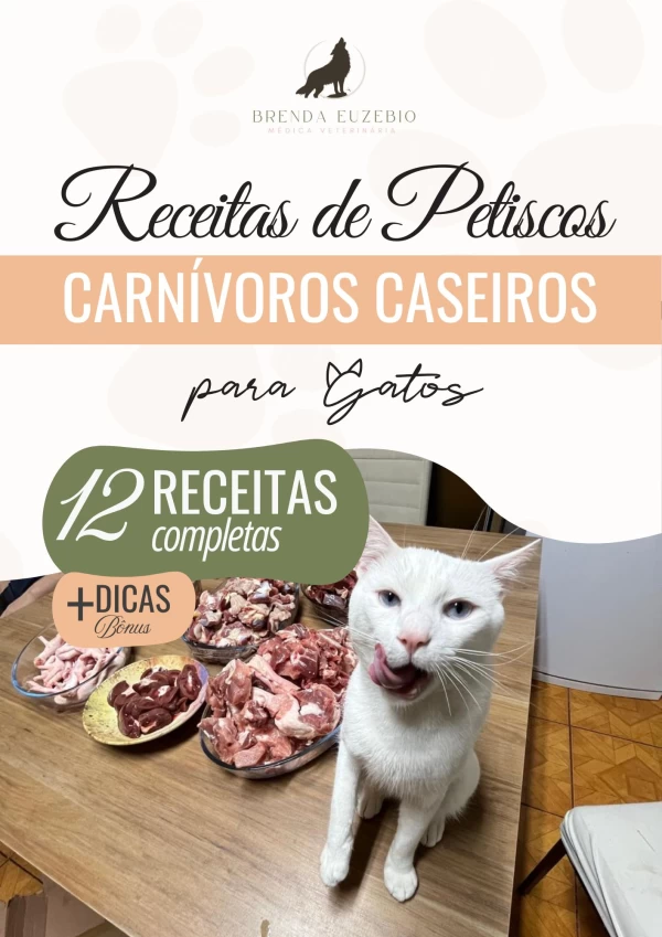 Receitas de petiscos caseiros para gatos: 5 opções fáceis
