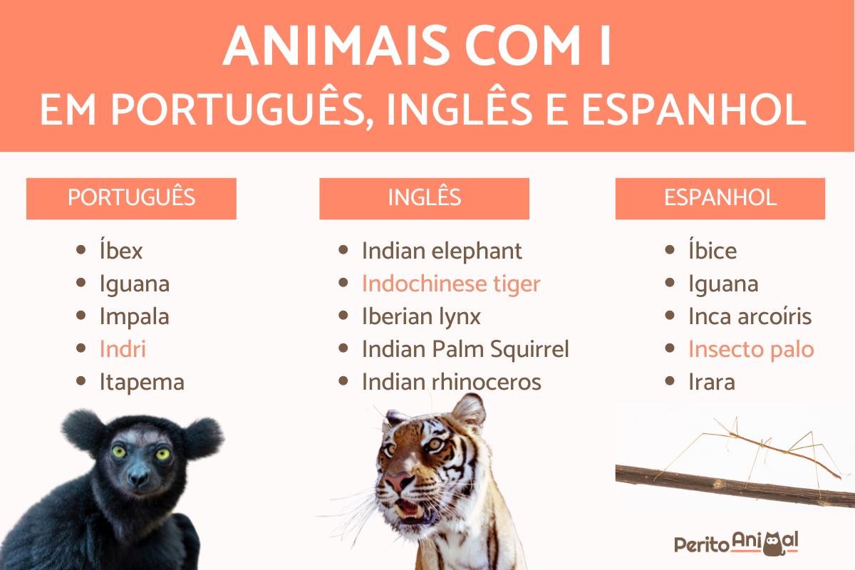 animais com a letra i para crianças