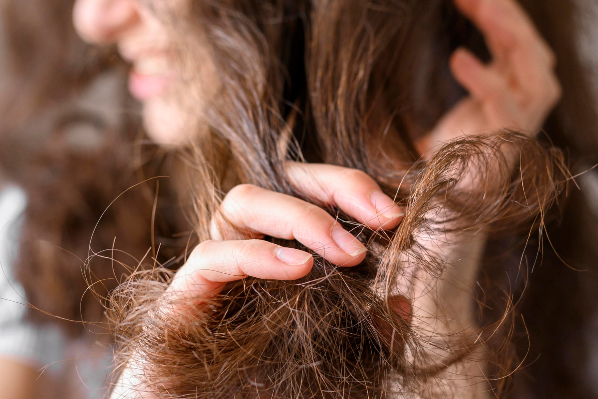 Os Melhores Produtos para Reconstrução Capilar em 2026