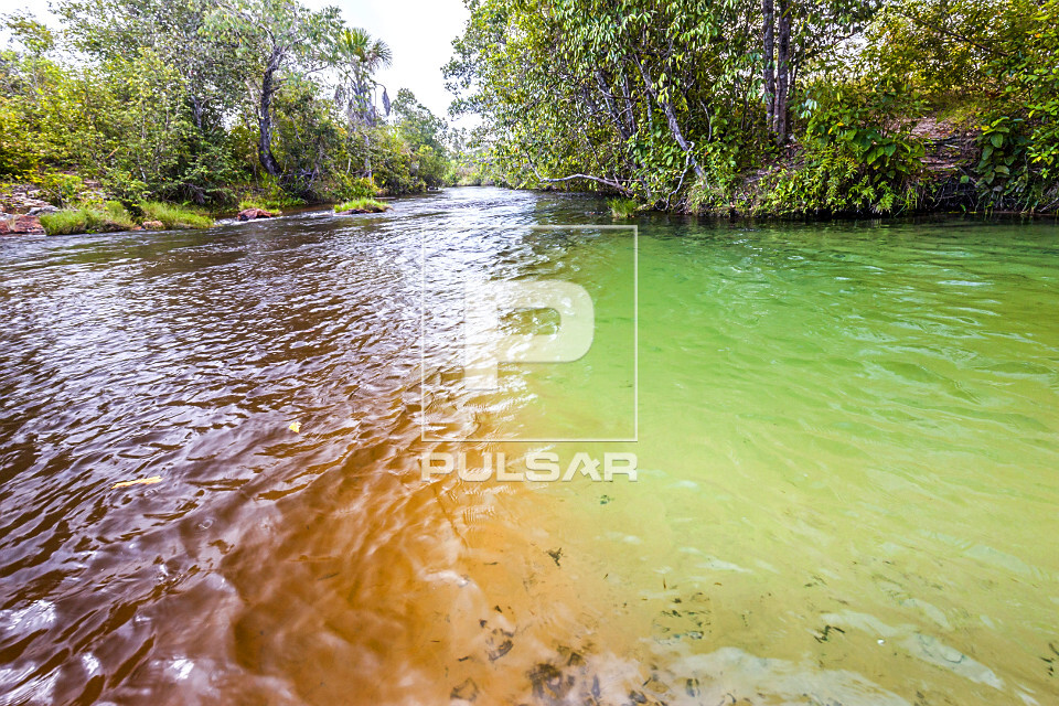 rio sono e rio formiga