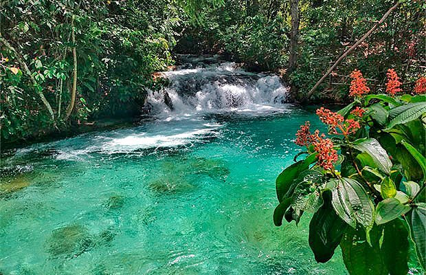 erros comuns ao visitar o encontro do rio sono e formiga