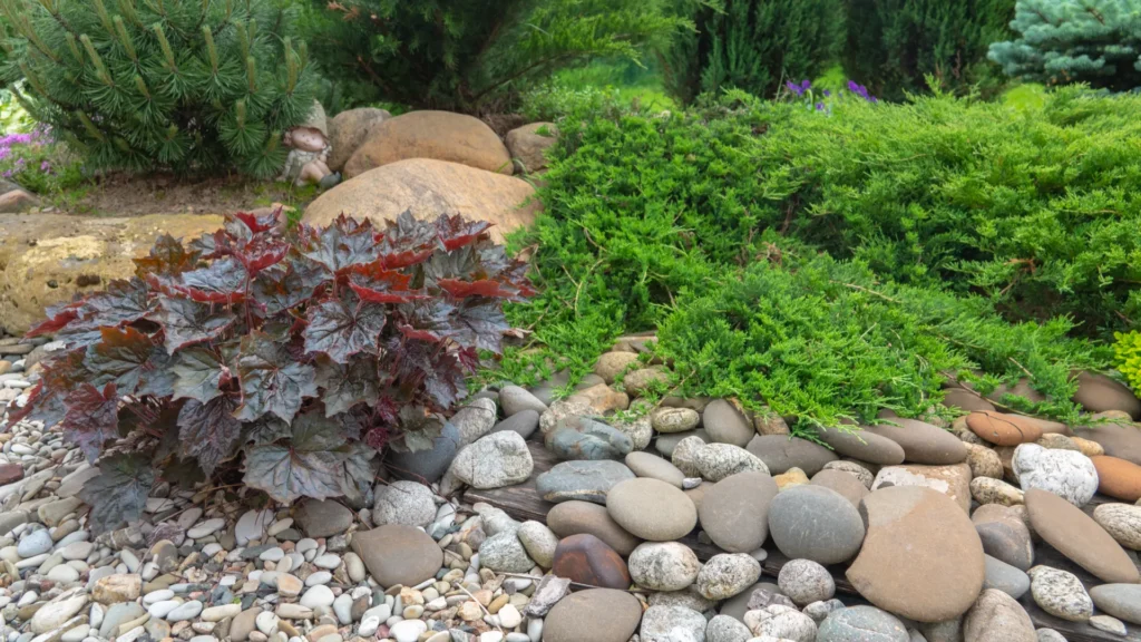 Como Calcular a Área de Plantio em Taludes: Dicas Essenciais