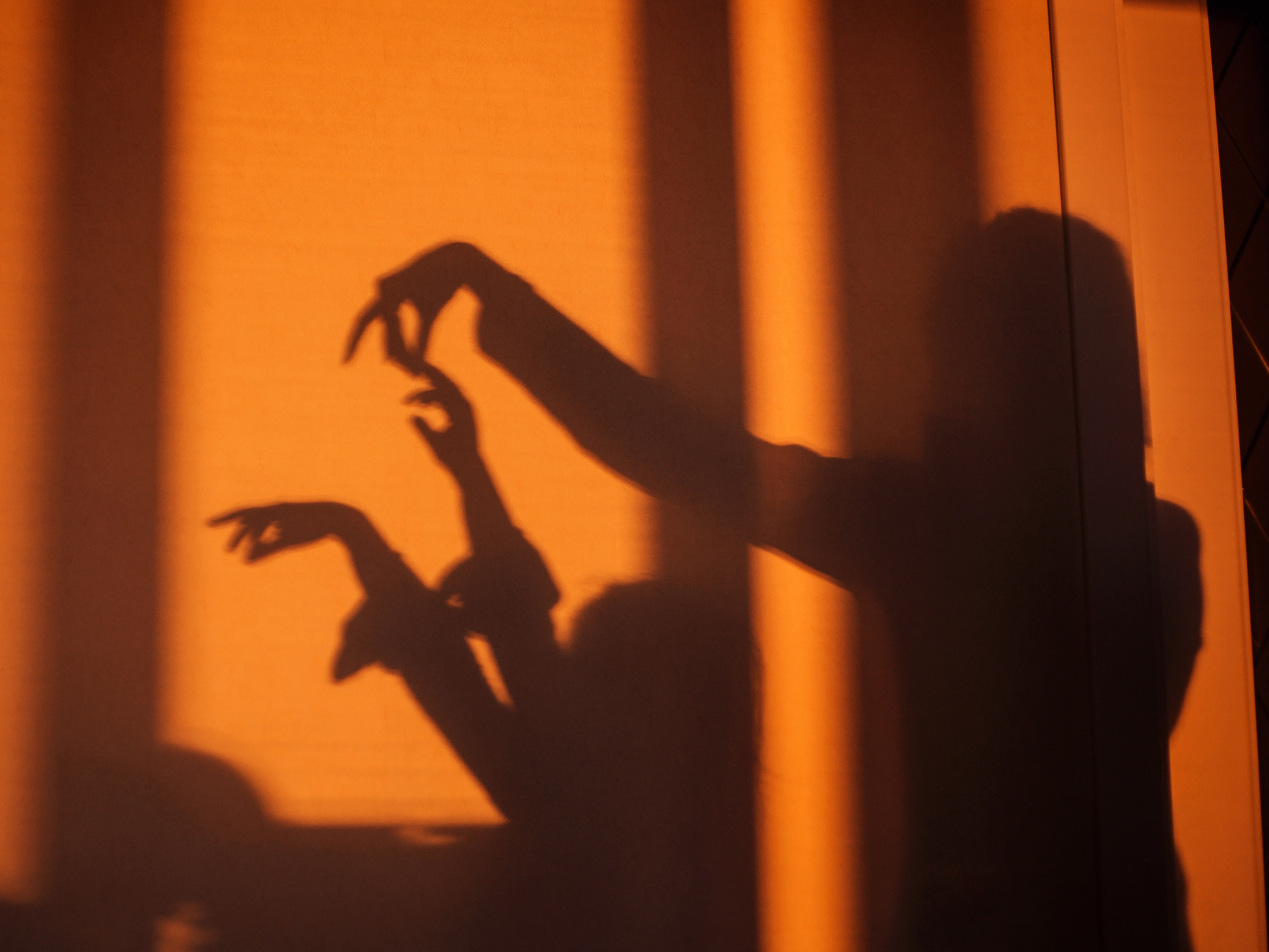 Como Fazer Personagens Criativos para o Seu Teatro de Sombras