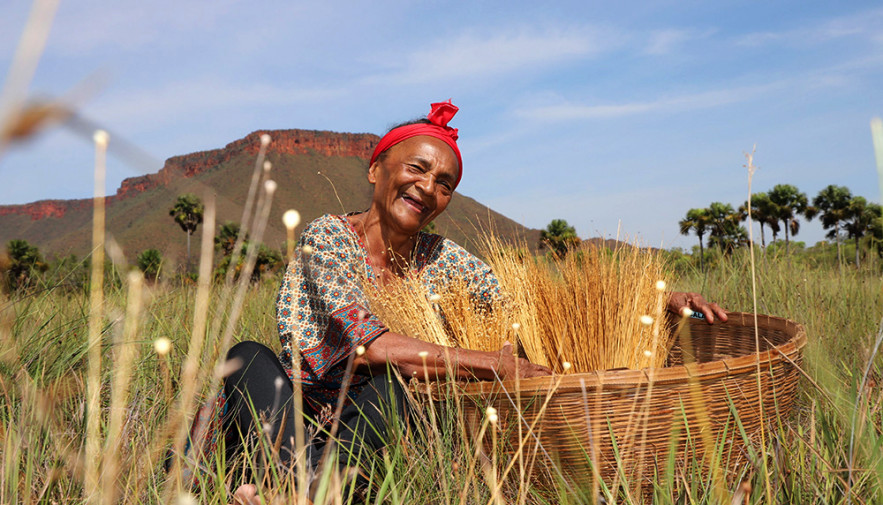 Guia Completo: O que fazer em Tocantínia para Ecoturismo e Cultura