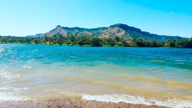 Artesanato de Capim Dourado: A Tradição Indígena de Tocantínia