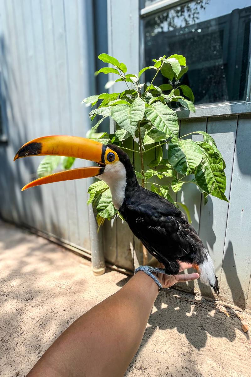 custo medio pacote tucano jalapao