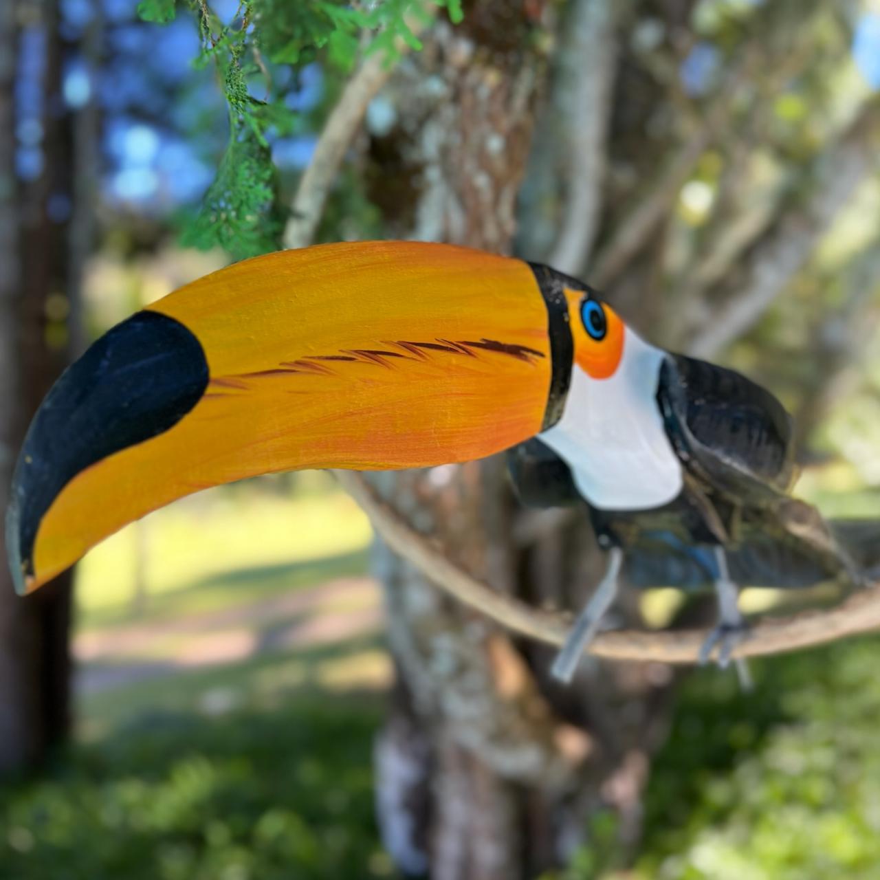 avistar tucano no jalapao