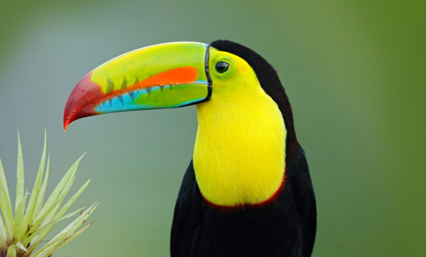 custo medio pacote tucano jalapao