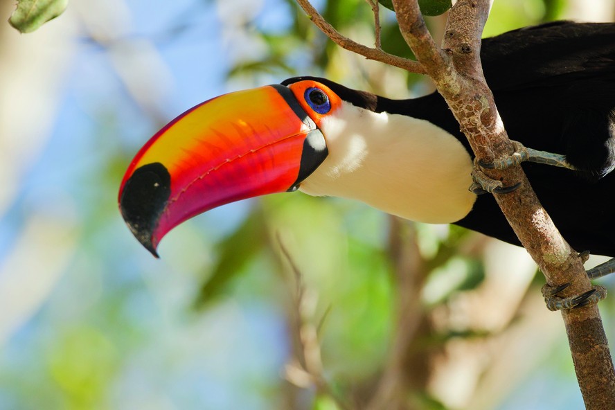pacote tucano jalapao vs roteiro independente