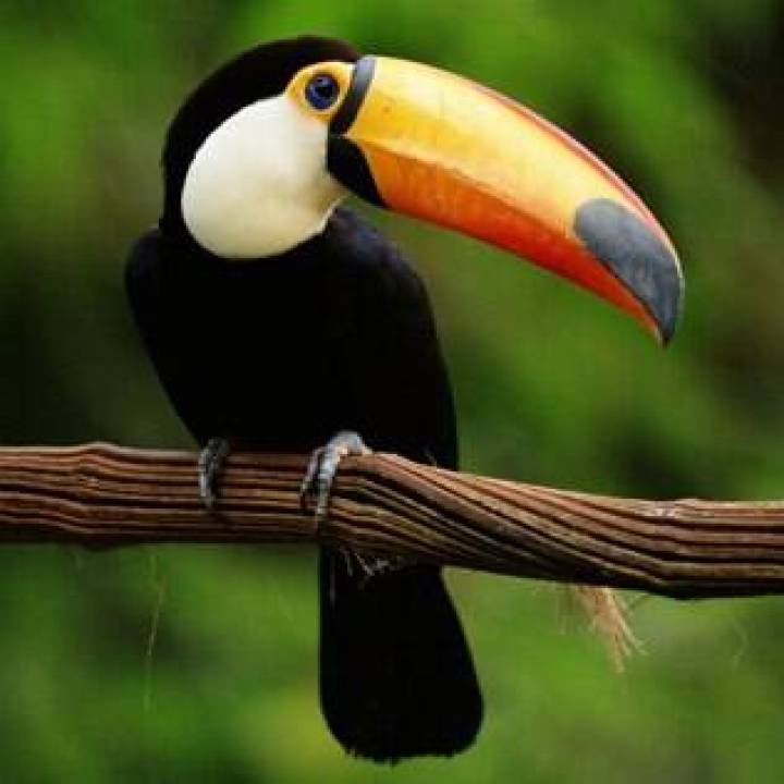 pacote tucano jalapao vs roteiro independente