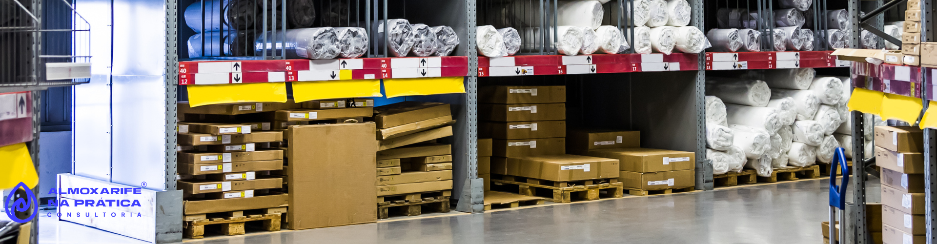 Salário e Oportunidades no Mercado de Trabalho