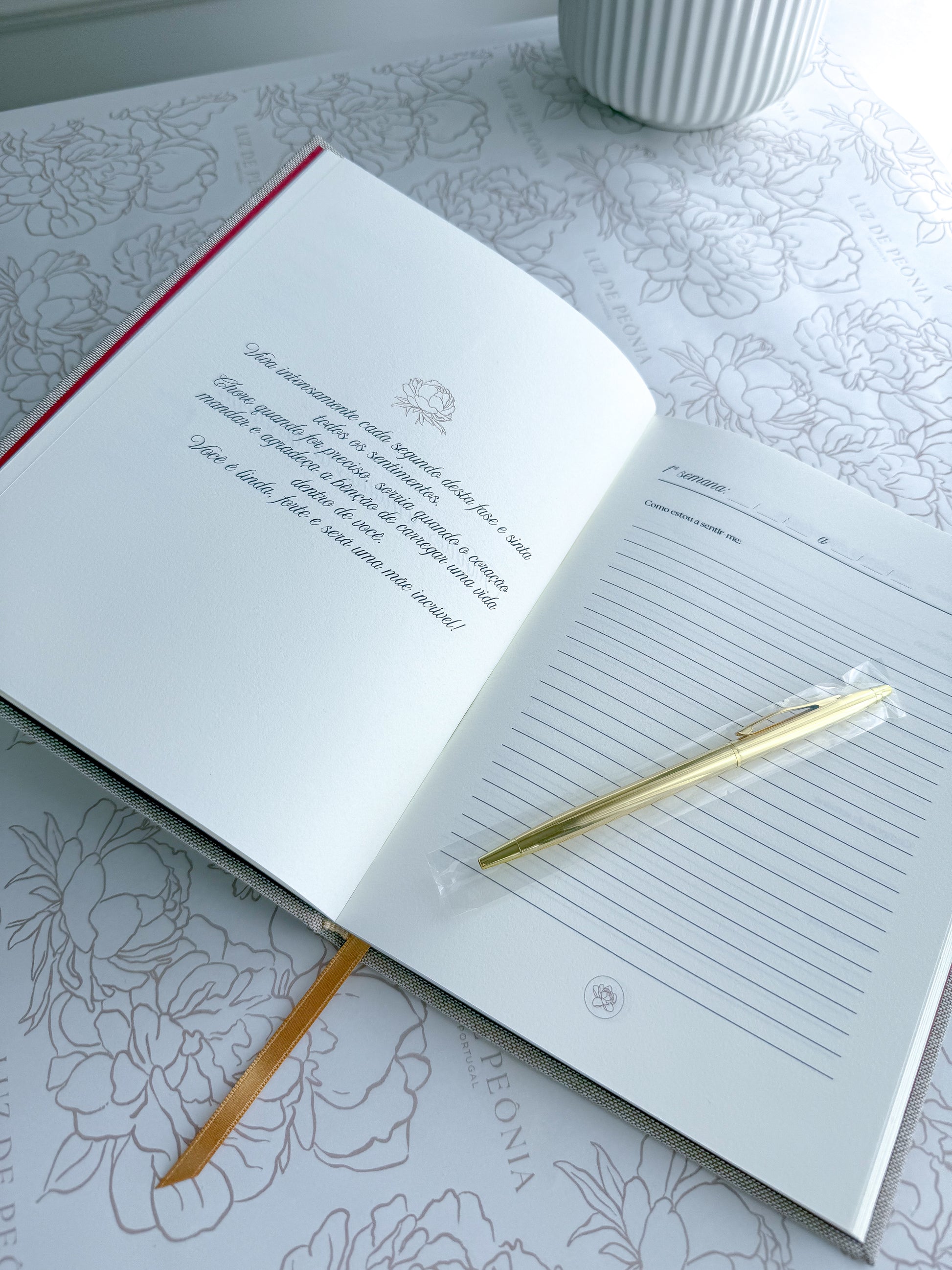 um diario de gravidez