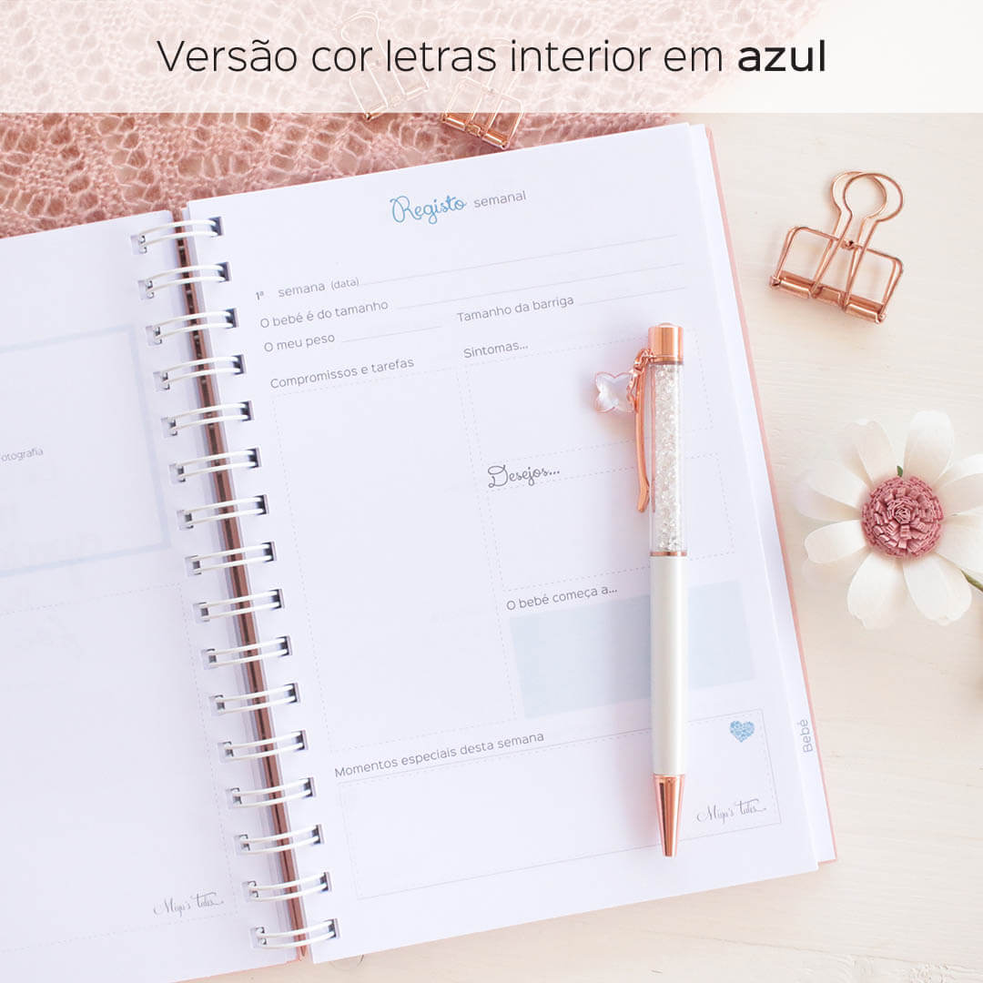 um diario de gravidez