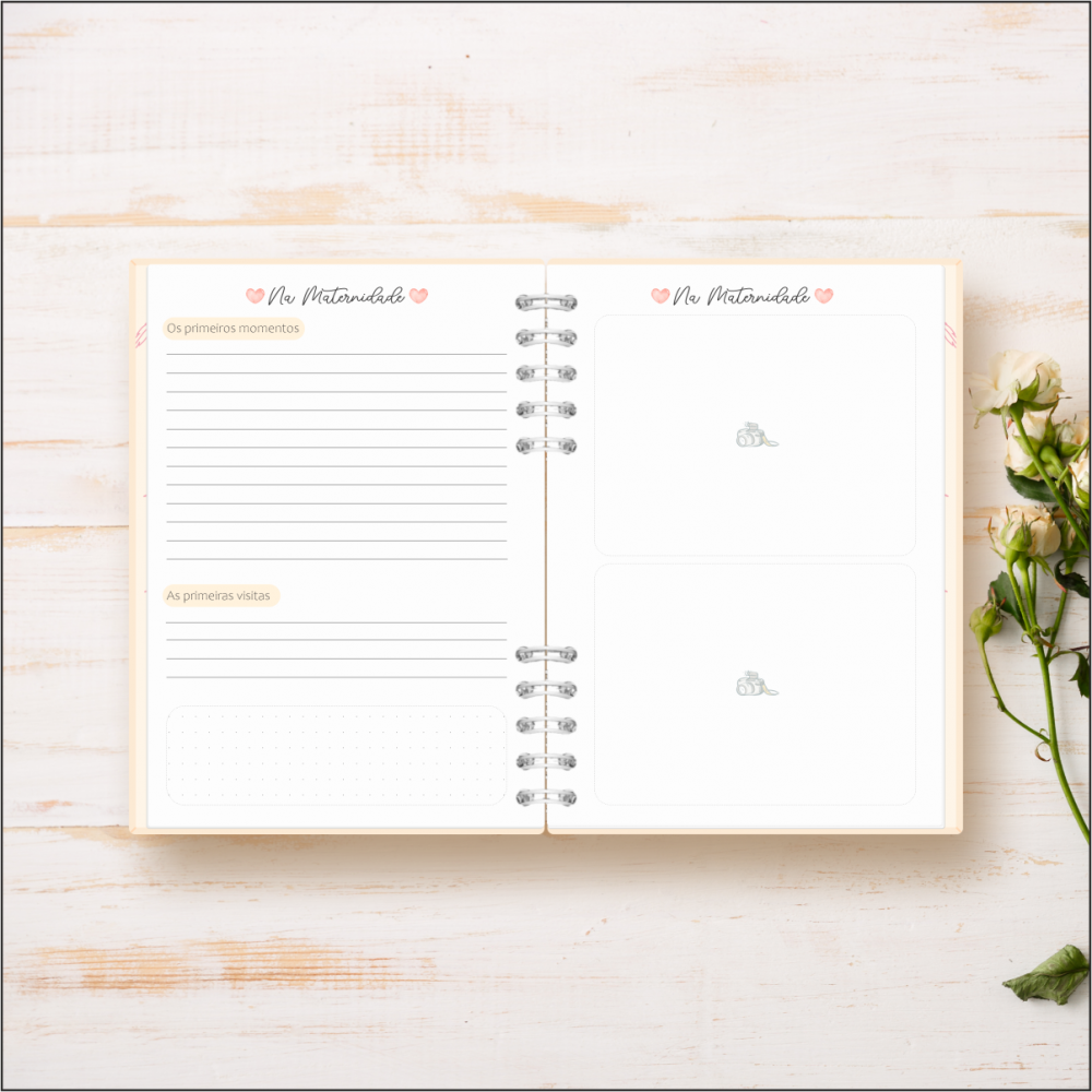 Diário de Gravidez Gratuito: Baixe o PDF da Fundação Abrinq