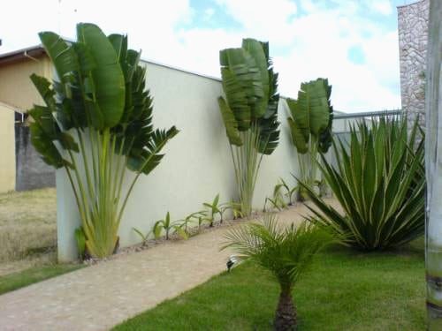 quanto custa para fazer um jardim pequeno