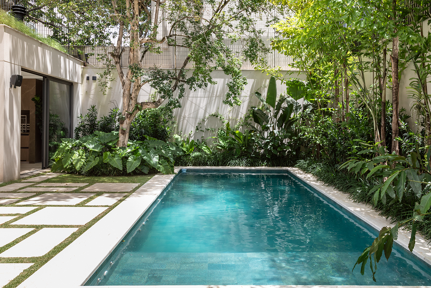 erros comuns ao montar um jardim