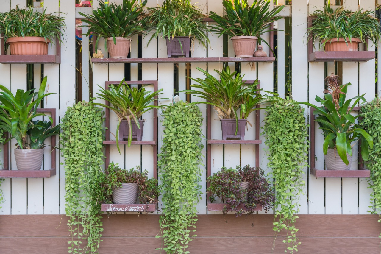 Jardim Vertical DIY: Transforme Paletes em um Oásis Verde