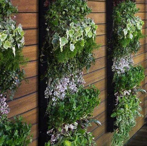 um jardim vertical com madeira