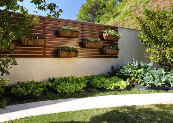 Jardim Vertical DIY: Transforme Paletes em um Oásis Verde