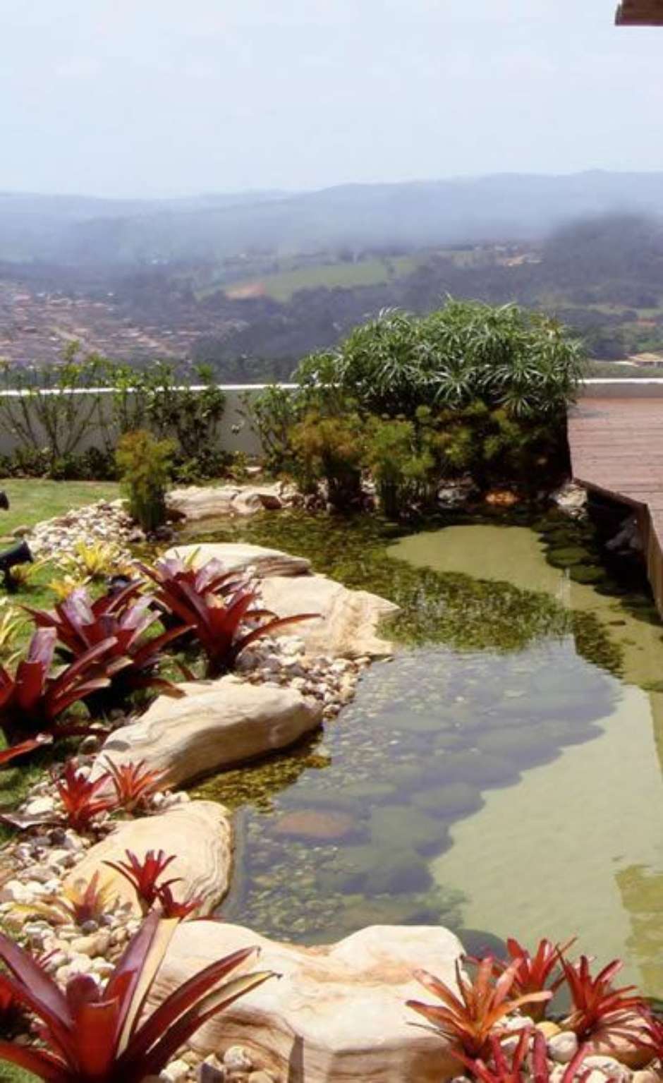 A Importância da Circulação e Oxigenação para a Vida em Lagos de Jardim