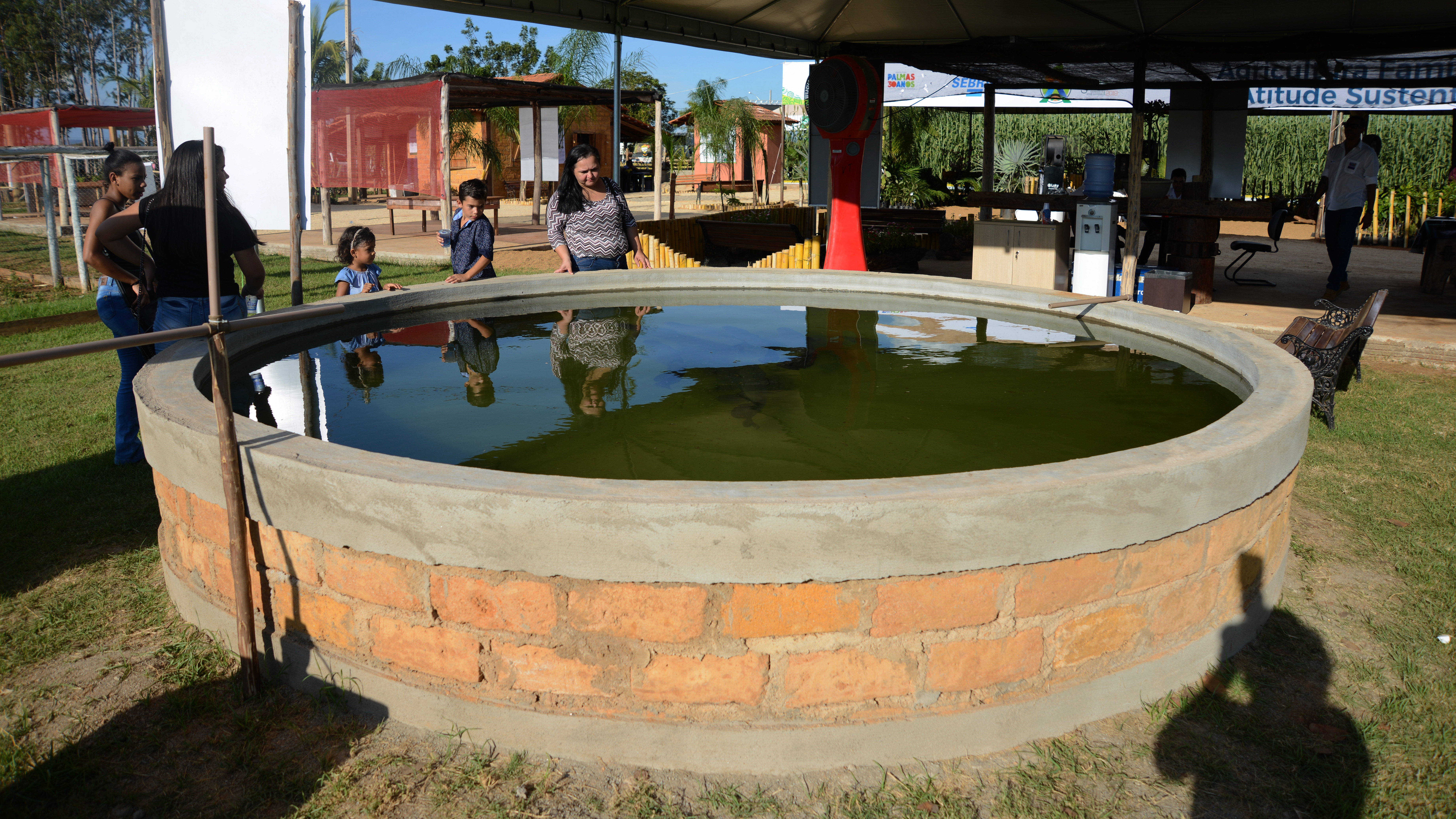 Guia Completo: Como Dimensionar Seu Tanque de Alvenaria para Peixes