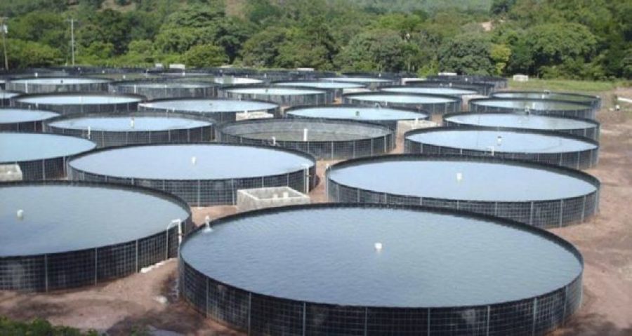 um tanque de peixe de alvenaria