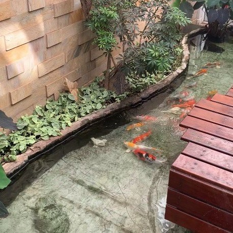 um tanque de peixe de alvenaria