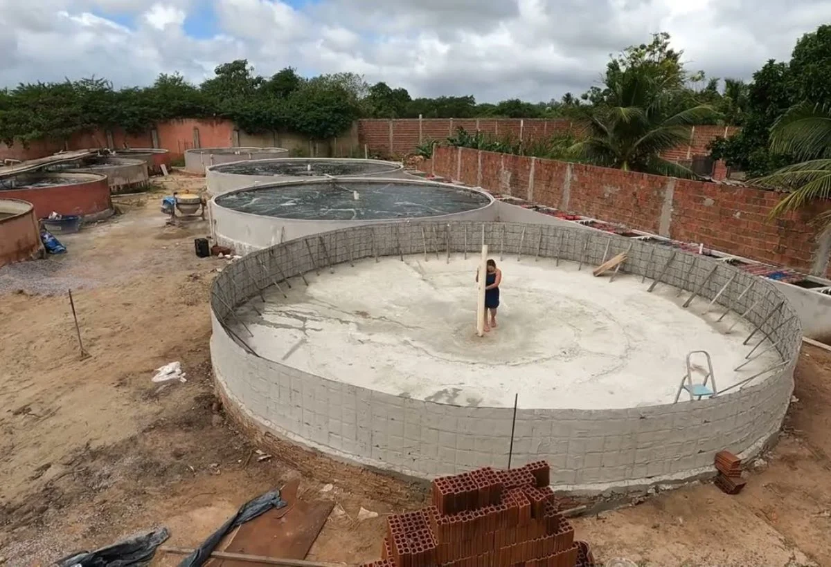 Tanque de Alvenaria vs. Outros Tipos: Qual a Melhor Opção para Sua Criação?