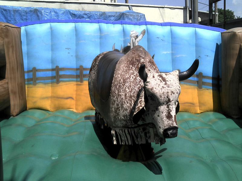 Dicas essenciais para se tornar um peão de rodeio