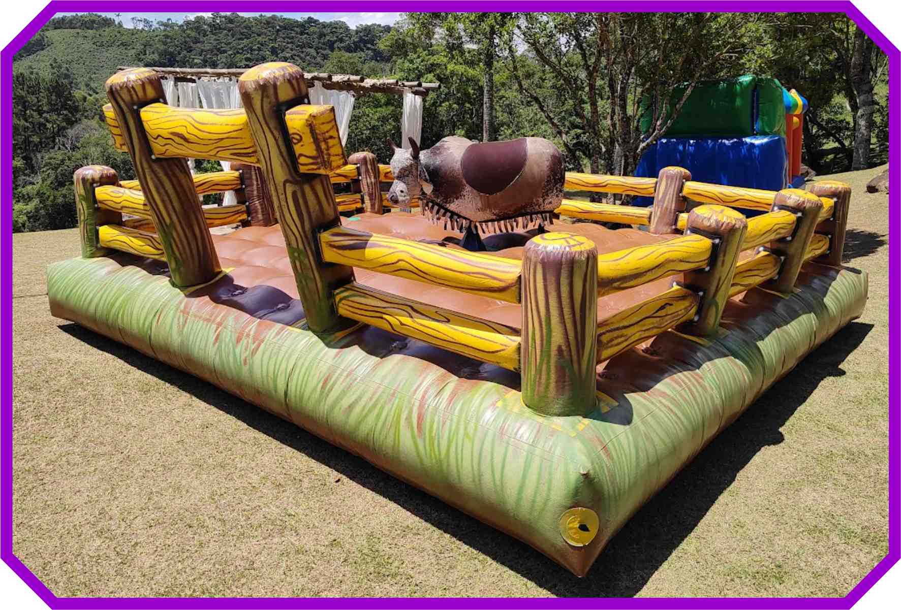 Os perigos e cuidados ao usar um touro mecânico caseiro