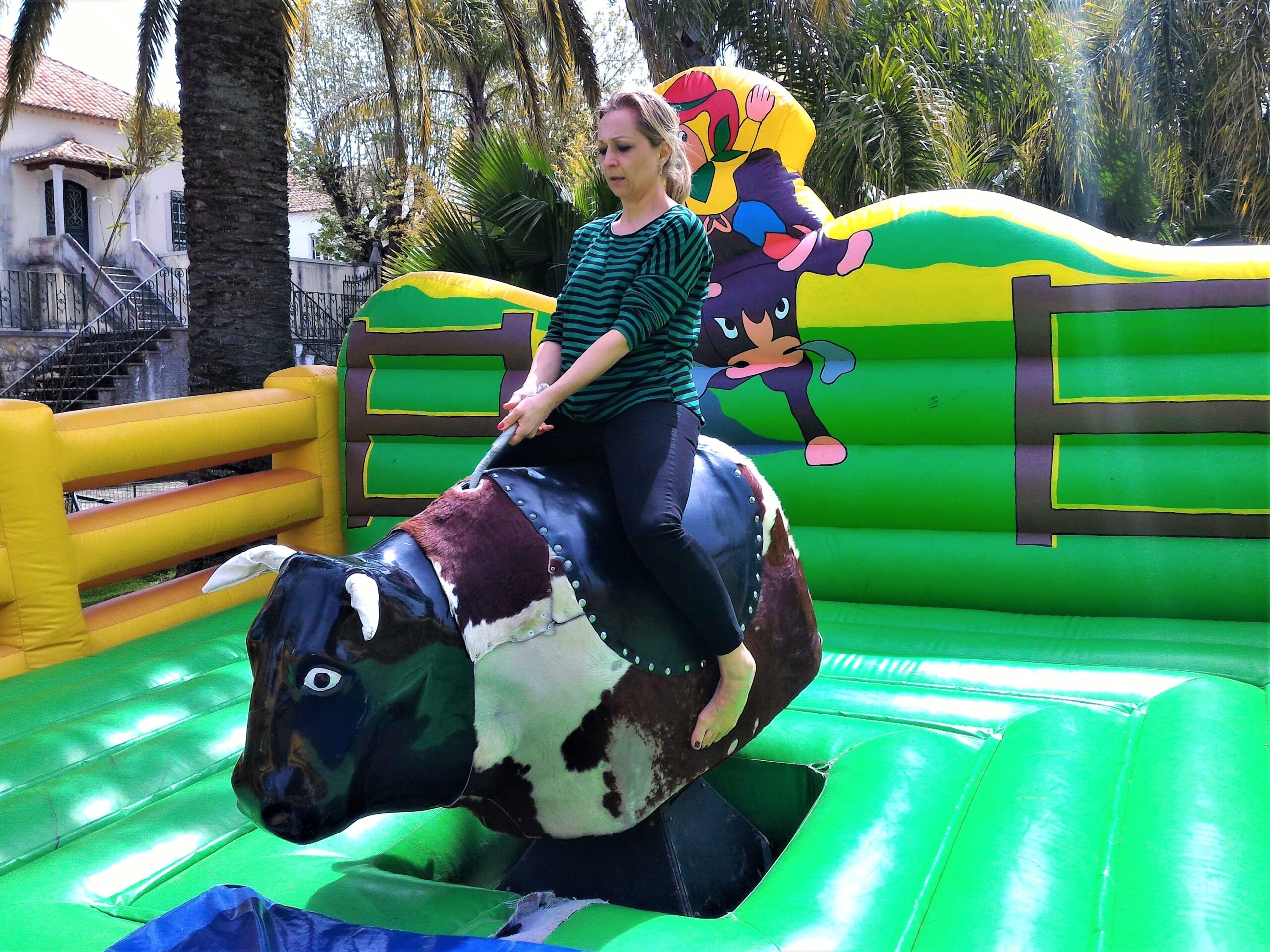 Comparativo: Boi latão vs. Touro mecânico profissional