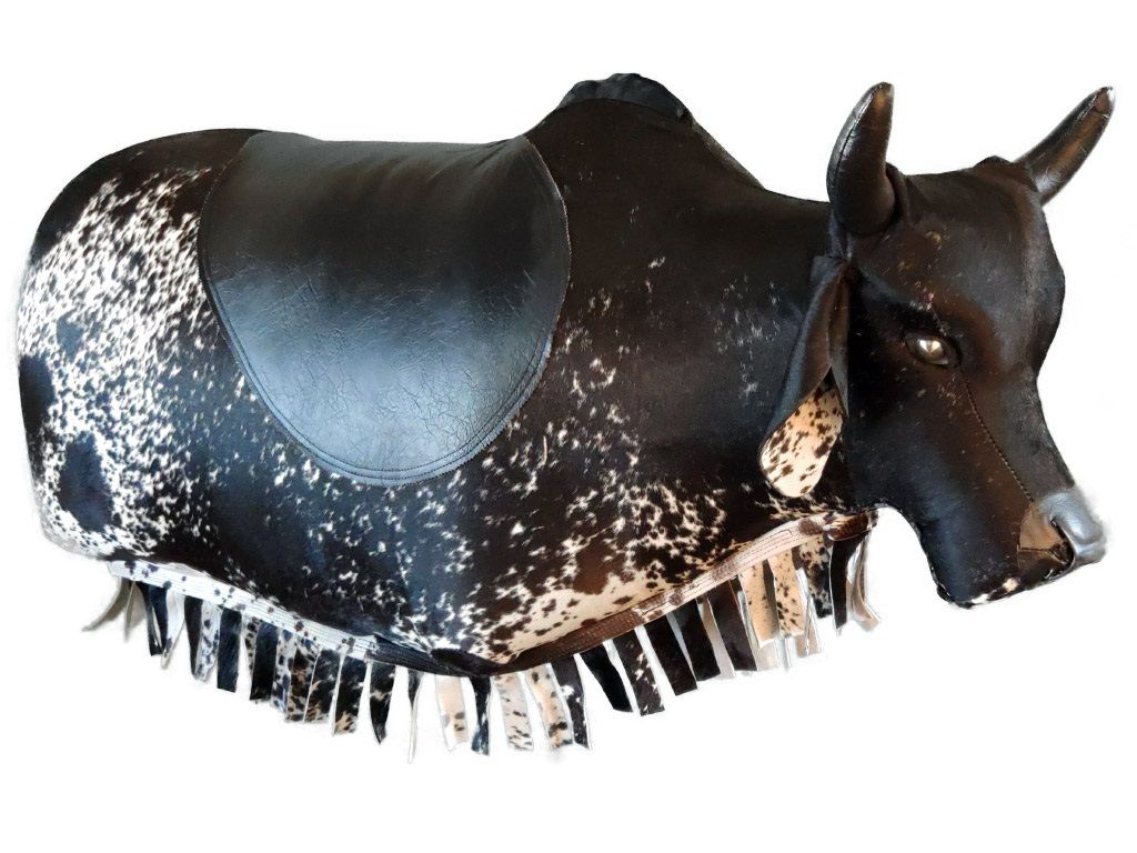 Onde alugar um touro mecânico para festas e eventos