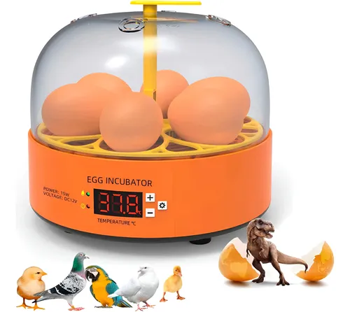 Dicas Essenciais de Manejo de Ovos para Incubação