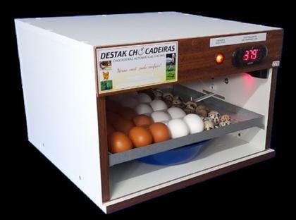 Guia Completo: Como Escolher a Chocadeira Ideal para Codorna