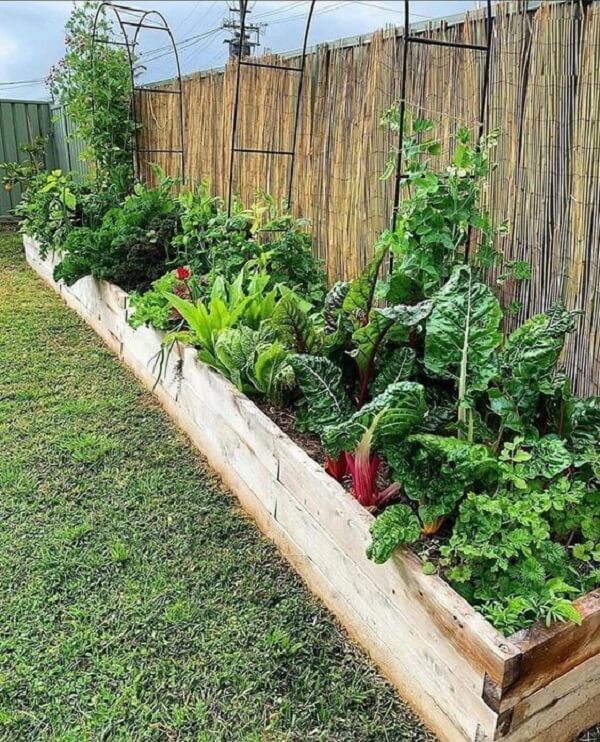 horta em vaso ou canteiro qual a melhor opção