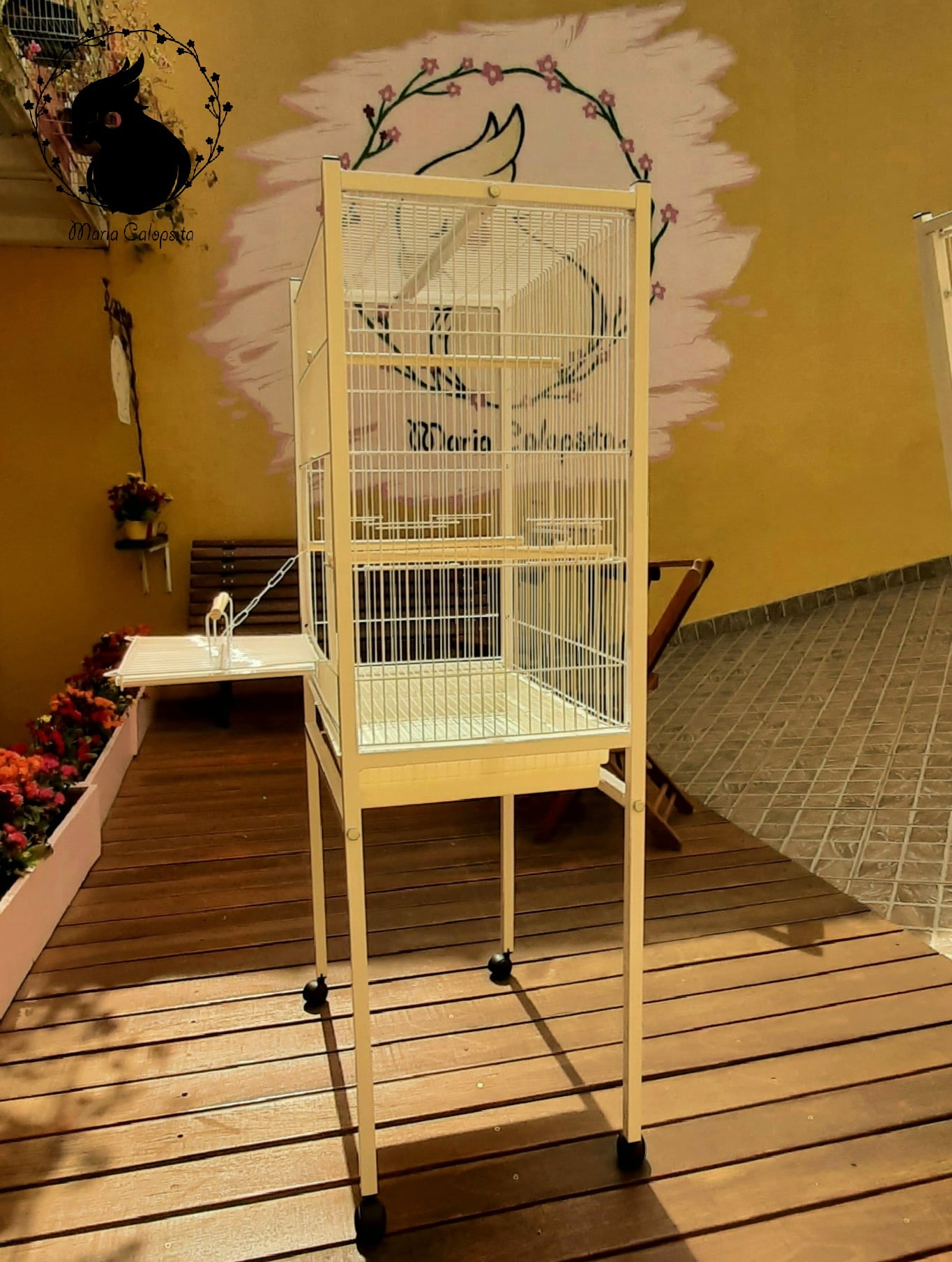 viveiro para calopsita