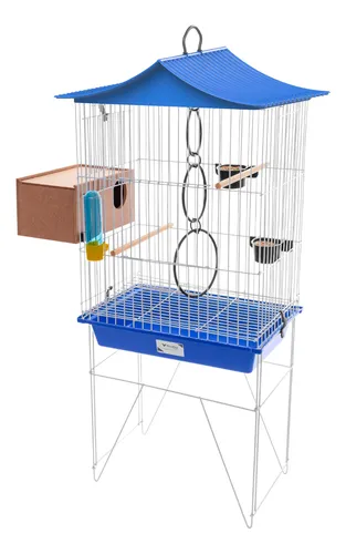 Guia completo de alimentação para calopsitas