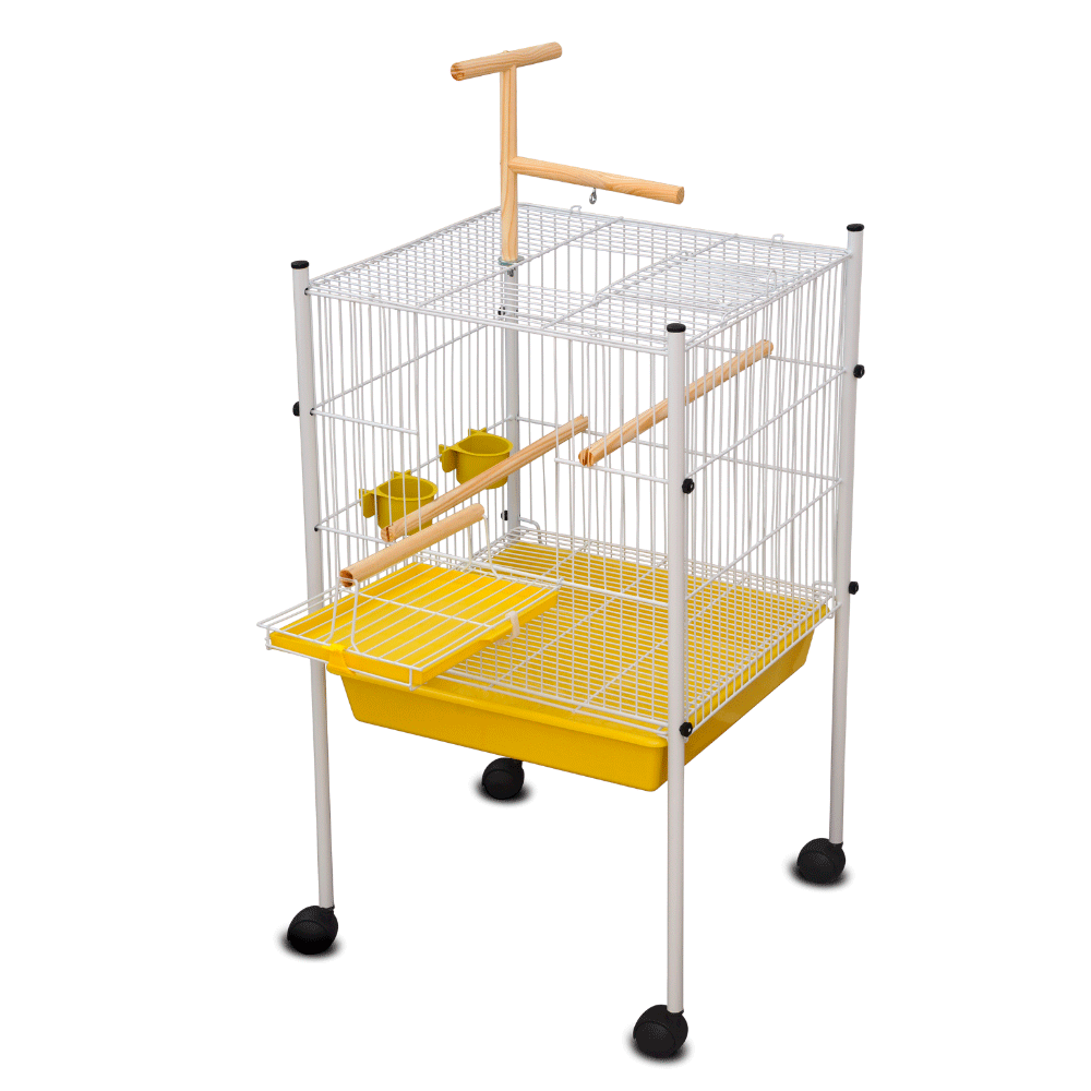 Como acostumar sua calopsita com o novo viveiro