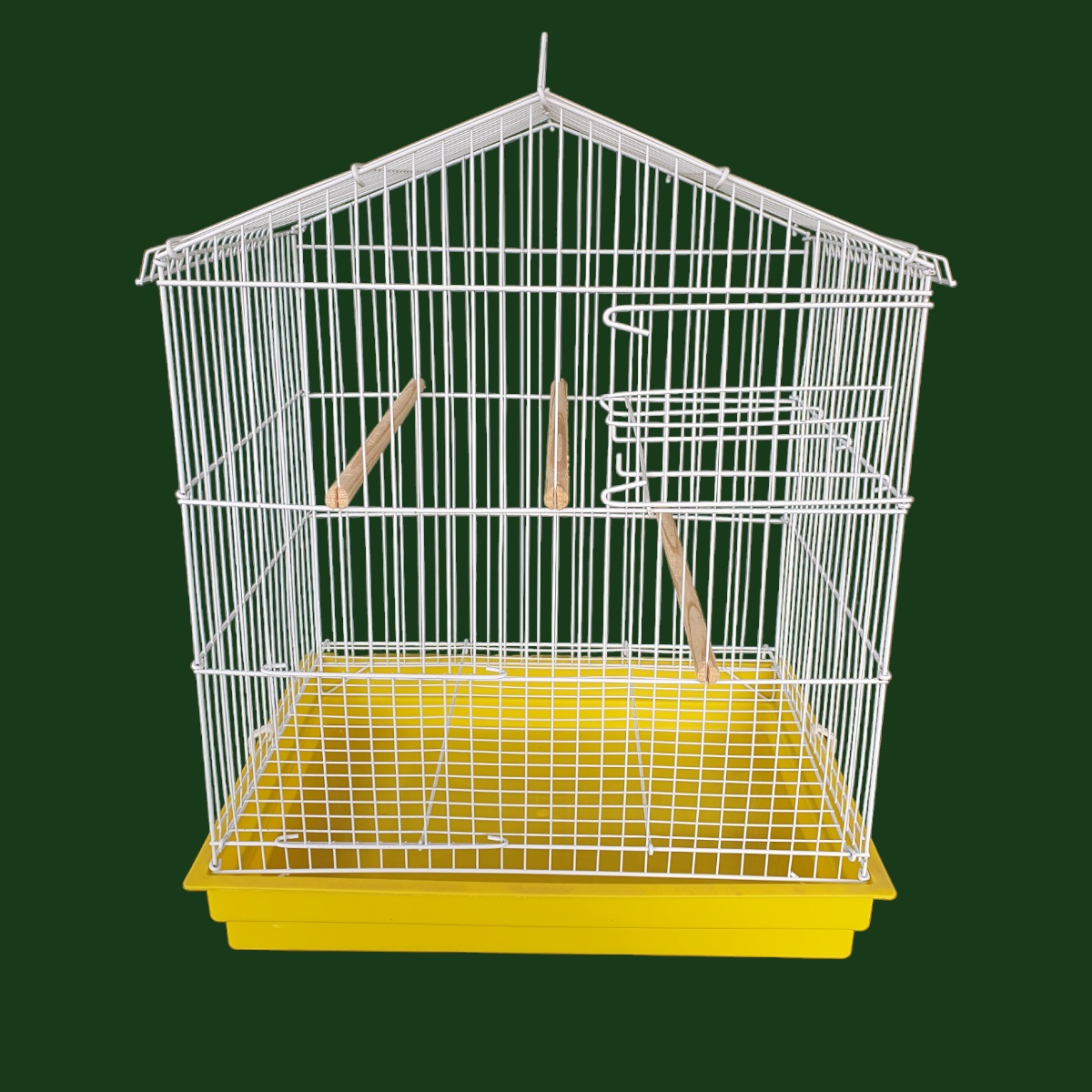 Os perigos de gaiolas inadequadas para calopsitas