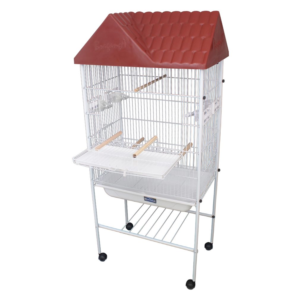 Como acostumar sua calopsita com o novo viveiro