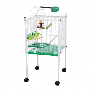 Guia completo de alimentação para calopsitas